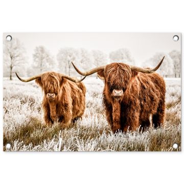 Tuinposter - Twee Hooglanders in de Winter