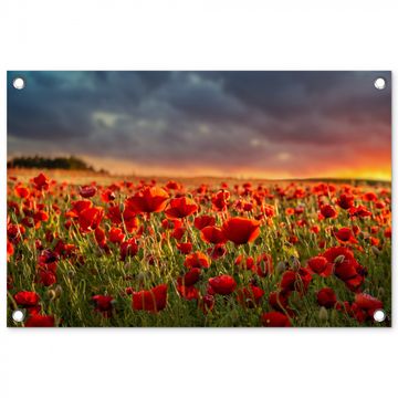 Tuinposter - Klaprozenveld met zonsondergang