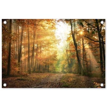 Tuinposter - Herfstbos in gouden zonlicht