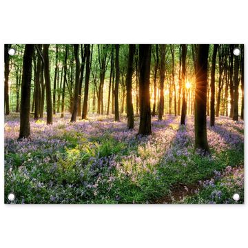 Tuinposter - Bos met blauwe hyacinten bij zonsopgang