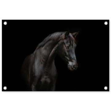 Tuinposter - Elegant zwart paard in het donker