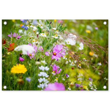 Tuinposter - Wilde bloemen in volle bloei