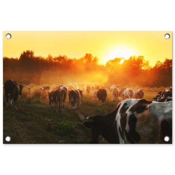 Tuinposter - Koeien bij Zonsondergang