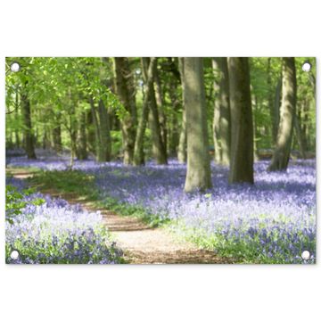 Tuinposter - Lente bos met blauwe bloemen