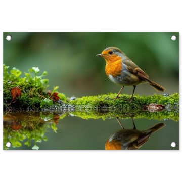 Tuinposter - Roodborstje bij het Water