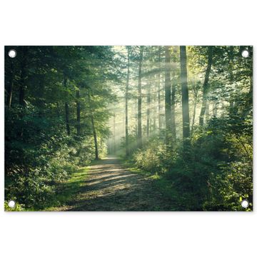 Tuinposter - Bosweg in ochtendlicht