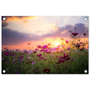 Tuinposter - Bloemenveld bij zonsondergang