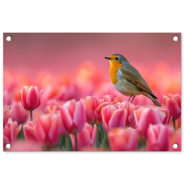 Tuinposter - Roodborstje in Tulpenveld