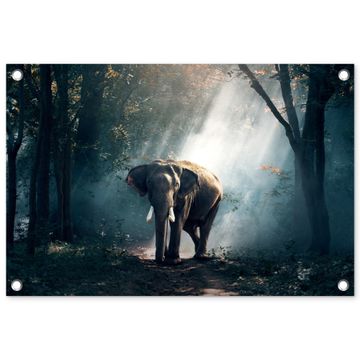 Tuinposter - Olifant in mystiek bos