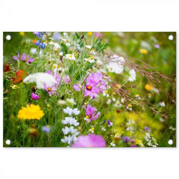 Tuinposter - Wilde bloemen in volle bloei